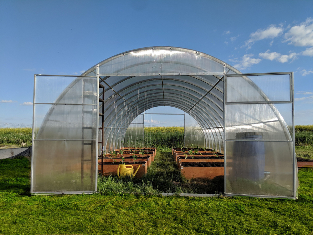 Farm Greenhouse